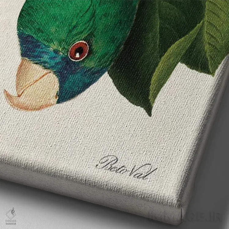 تابلو برداشت طوطی اثر بتو وال - نمای نزدیک بافت بوم