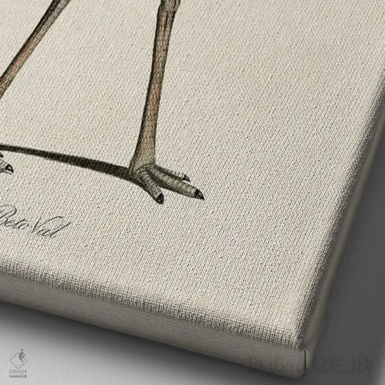 تابلو پرندهٔ موسیقیدوست اثر بتو وال - نمای نزدیک بافت بوم