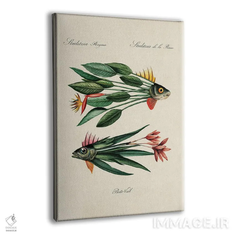 تابلو ماهی برگ اثر بتو وال - نمای پرسپکتیو محصول