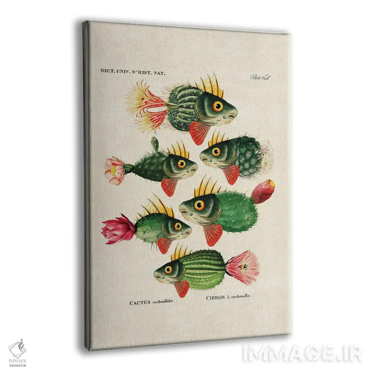 تابلو ماهی کاکتوس اثر بتو وال - نمای پرسپکتیو محصول