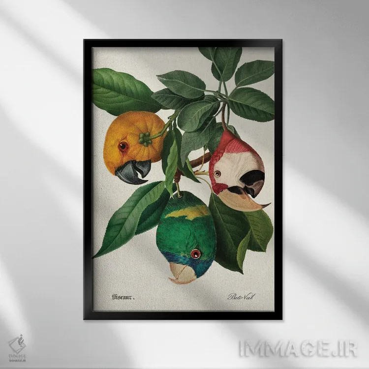 تابلو برداشت طوطی اثر بتو وال - نمای قابدار مشکی