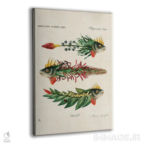 تابلو ماهیهای برگ اثر بتو وال - نمای پرسپکتیو محصول