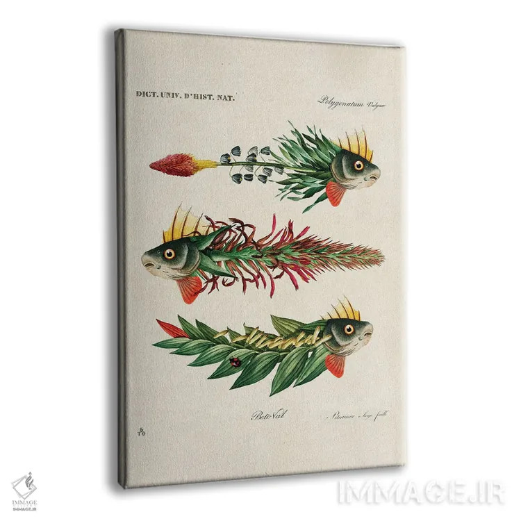 تابلو ماهیهای برگ اثر بتو وال - نمای پرسپکتیو محصول