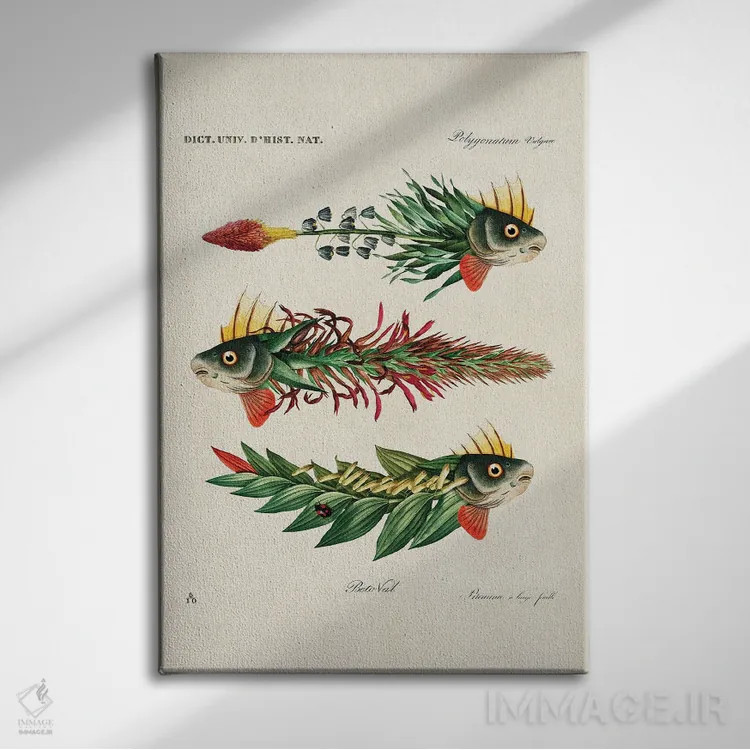 تابلو ماهیهای برگ اثر بتو وال - نمای روبهرو روی دیوار