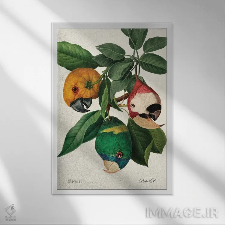 تابلو برداشت طوطی اثر بتو وال - نمای قابدار سفید