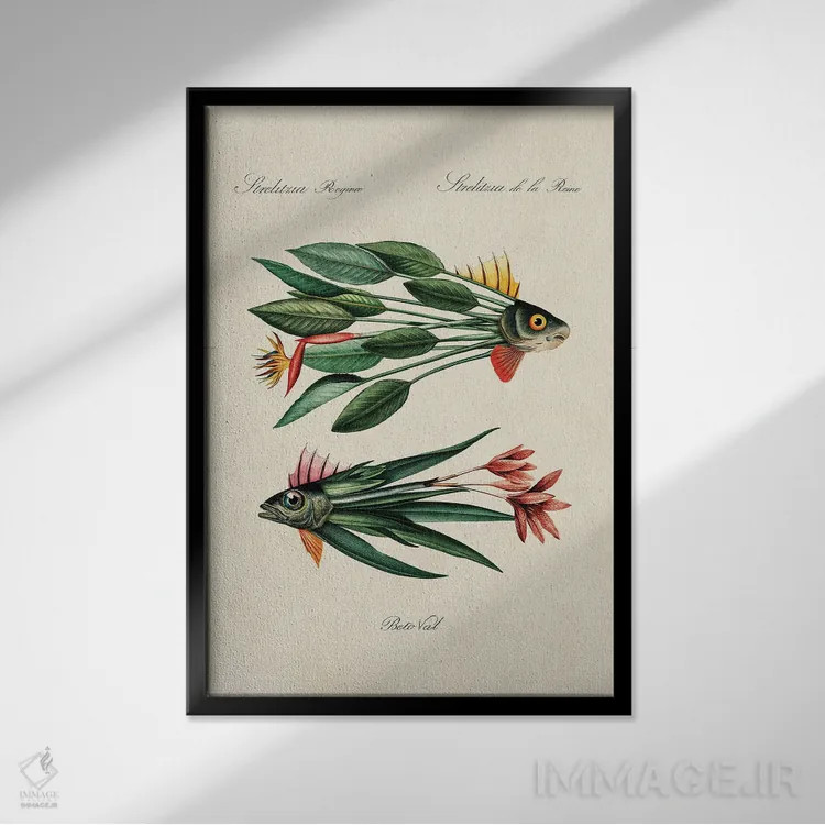 تابلو ماهی برگ اثر بتو وال - نمای قابدار مشکی