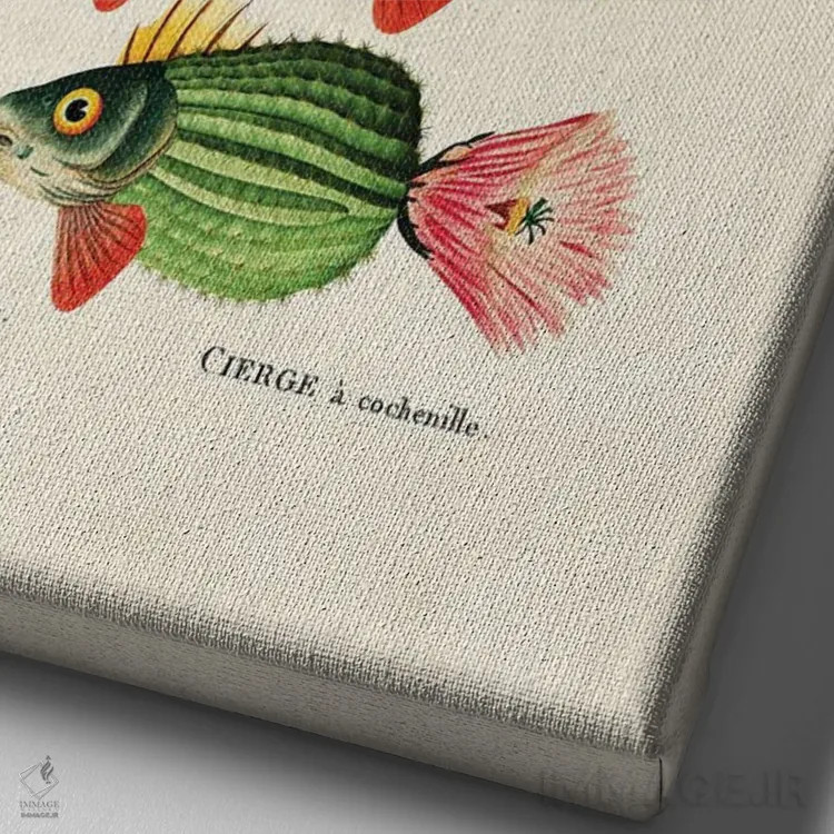 تابلو ماهی کاکتوس اثر بتو وال - نمای نزدیک بافت بوم