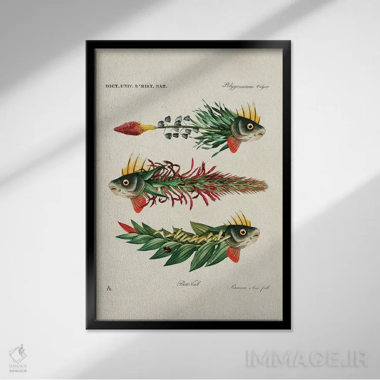 تابلو ماهیهای برگ اثر بتو وال - نمای قابدار مشکی