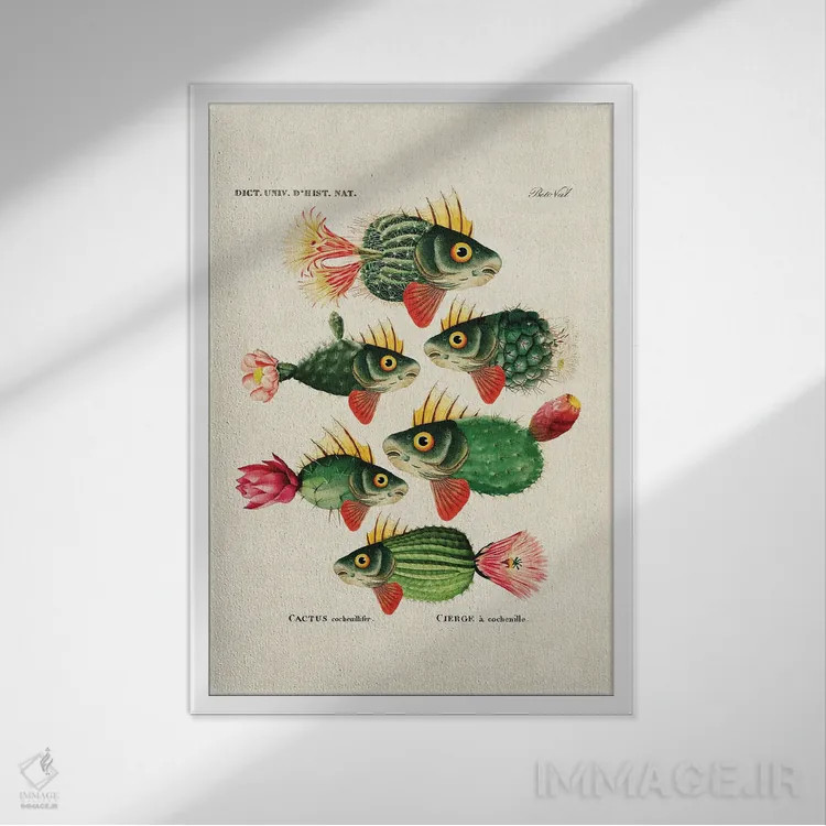تابلو ماهی کاکتوس اثر بتو وال - نمای قابدار سفید