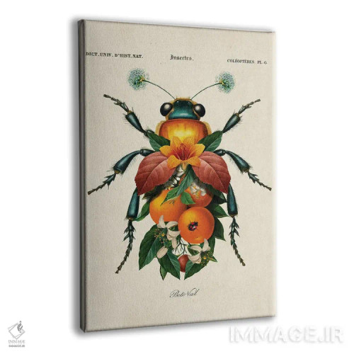 تابلو حشره پرتقالی اثر بتو وال - نمای پرسپکتیو محصول