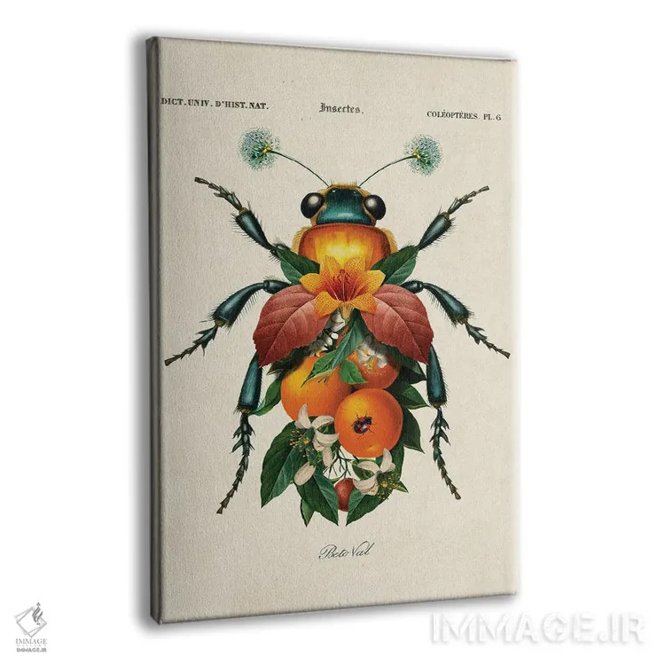 تابلو حشره پرتقالی اثر بتو وال - نمای پرسپکتیو محصول