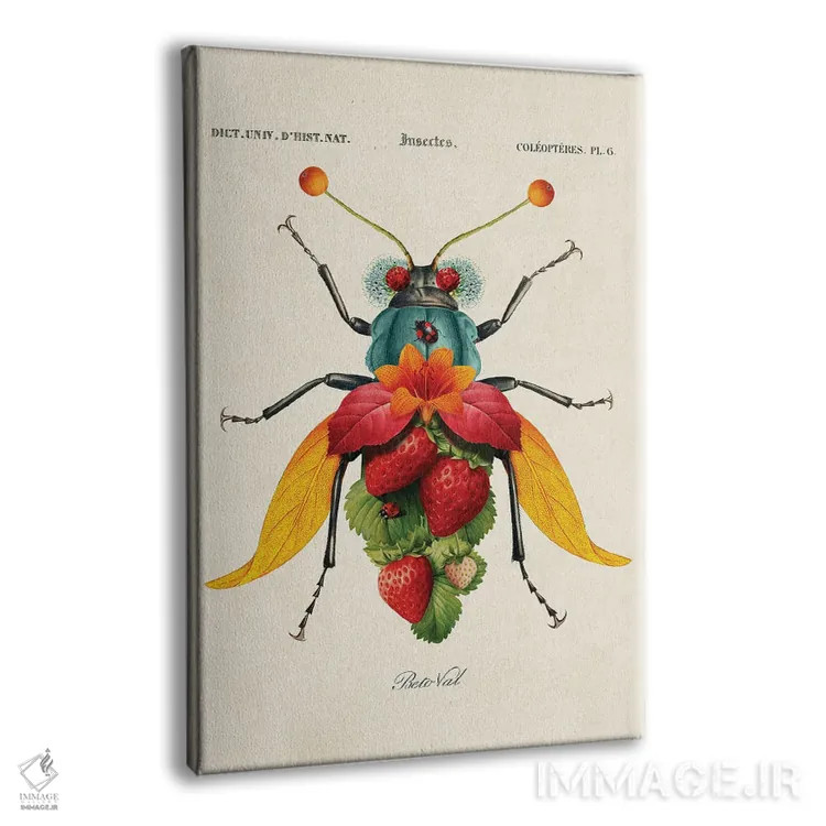 تابلو حشره توتفرنگی اثر بتو وال - نمای پرسپکتیو محصول