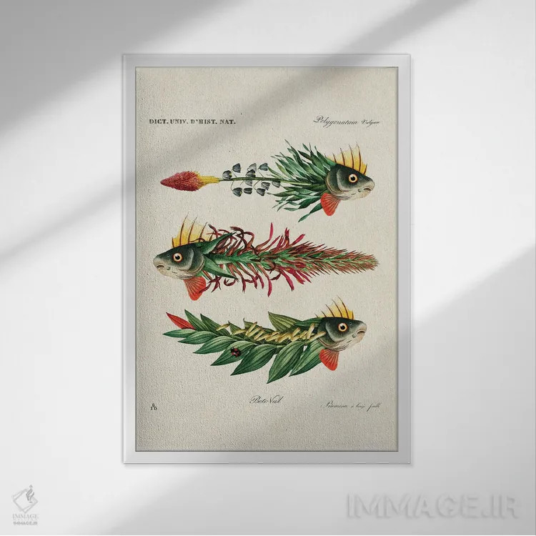 تابلو ماهیهای برگ اثر بتو وال - نمای قابدار سفید