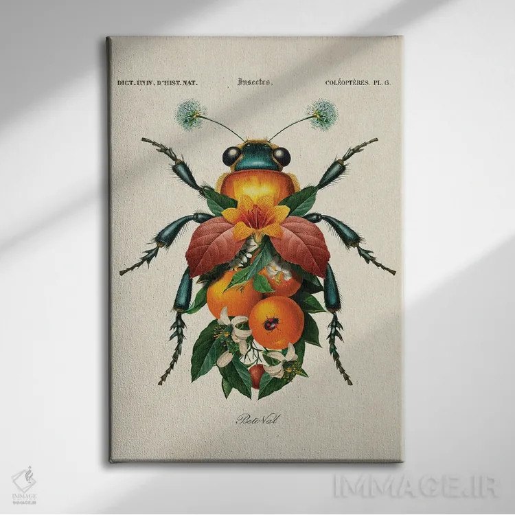 تابلو حشره پرتقالی اثر بتو وال - نمای روبهرو روی دیوار