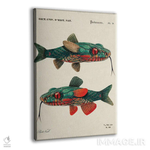 تابلو ماهی مار اثر بتو وال - نمای پرسپکتیو محصول