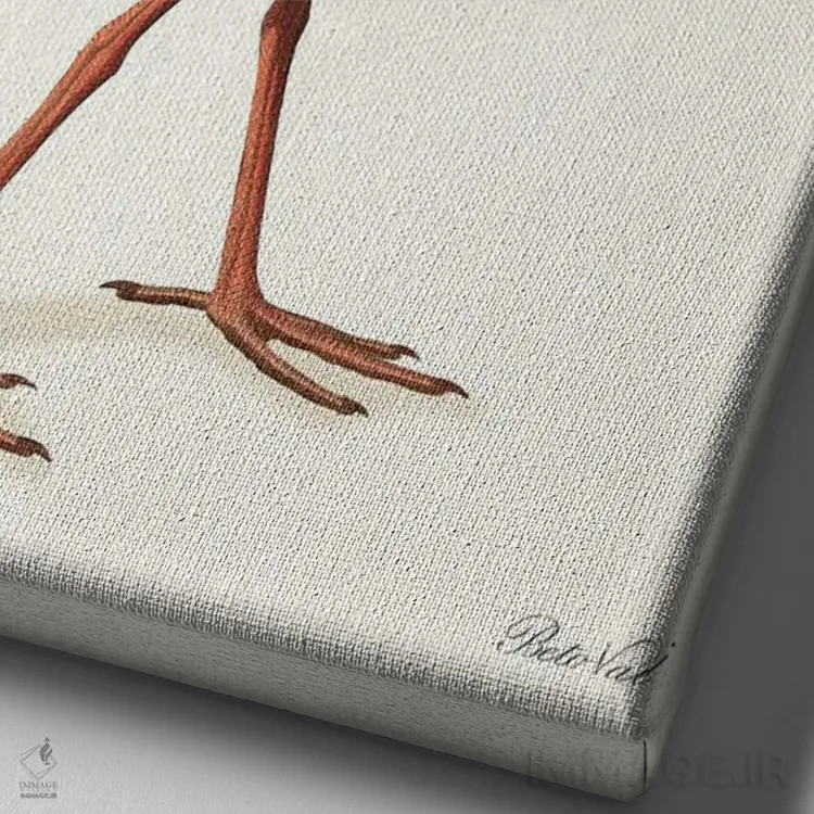 تابلو پرندهٔ تفنگی اثر بتو وال - نمای نزدیک بافت بوم