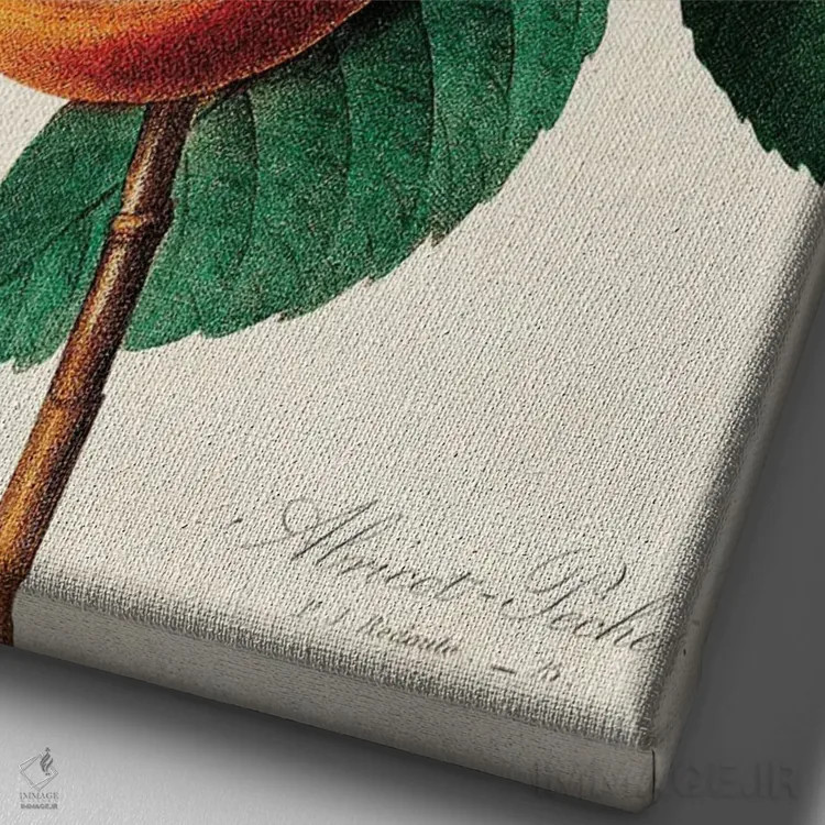 تابلو میوه گوشتخوار اثر بتو وال - نمای نزدیک بافت بوم