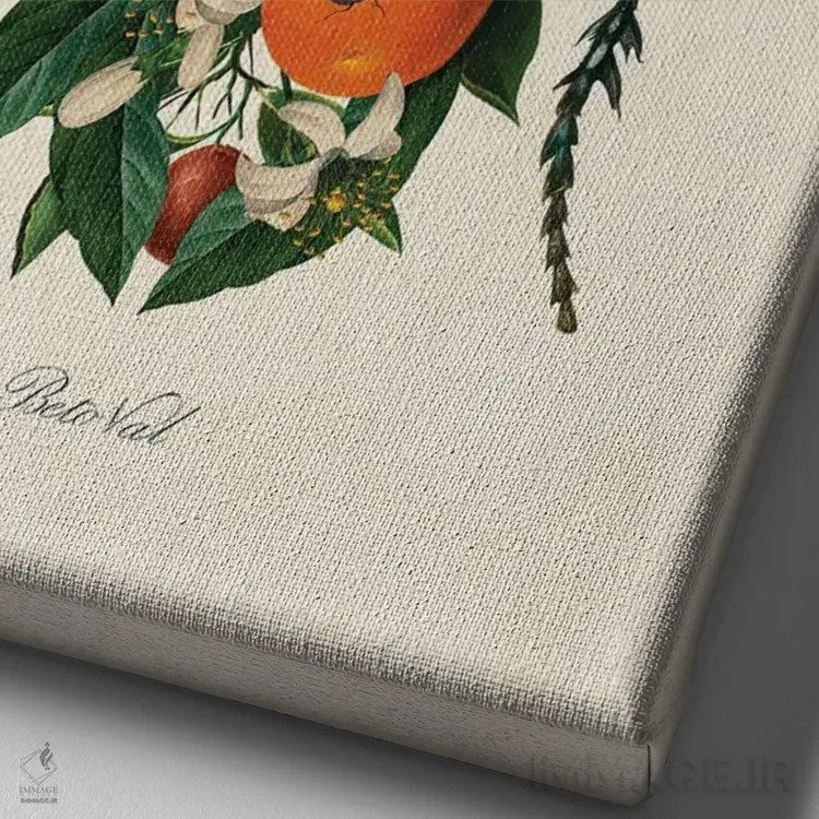 تابلو حشره پرتقالی اثر بتو وال - نمای نزدیک بافت بوم