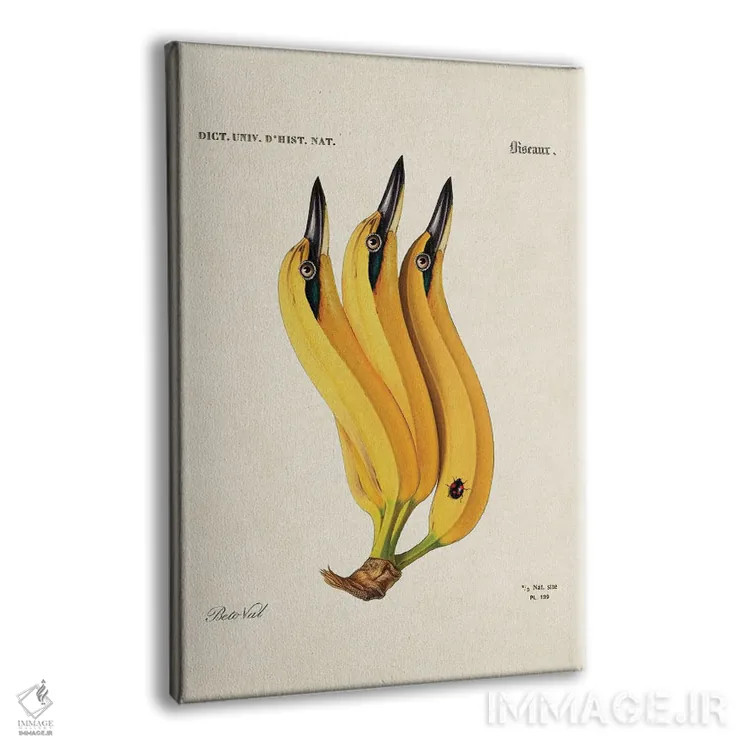 تابلو پرنده موزی اثر بتو وال - نمای پرسپکتیو محصول