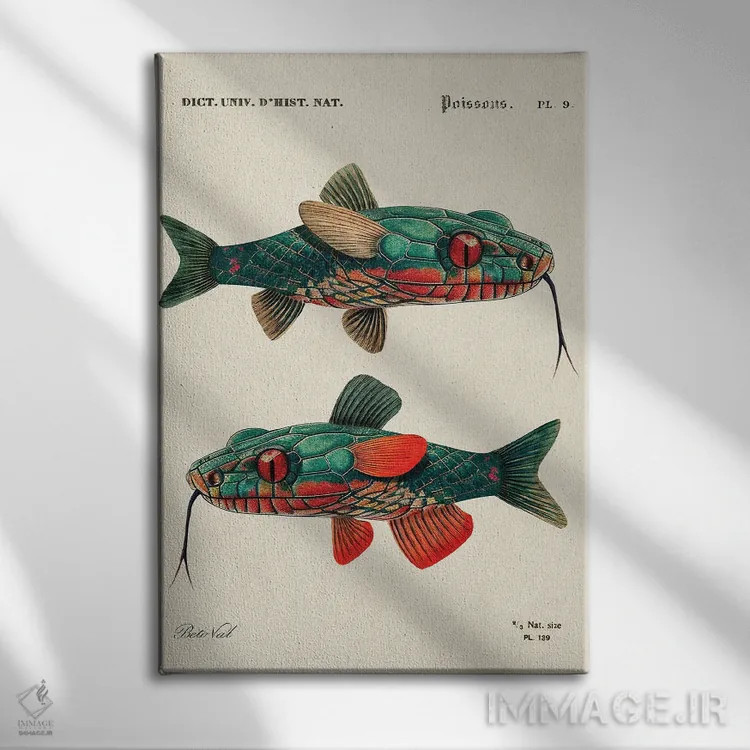 تابلو ماهی مار اثر بتو وال - نمای روبهرو روی دیوار