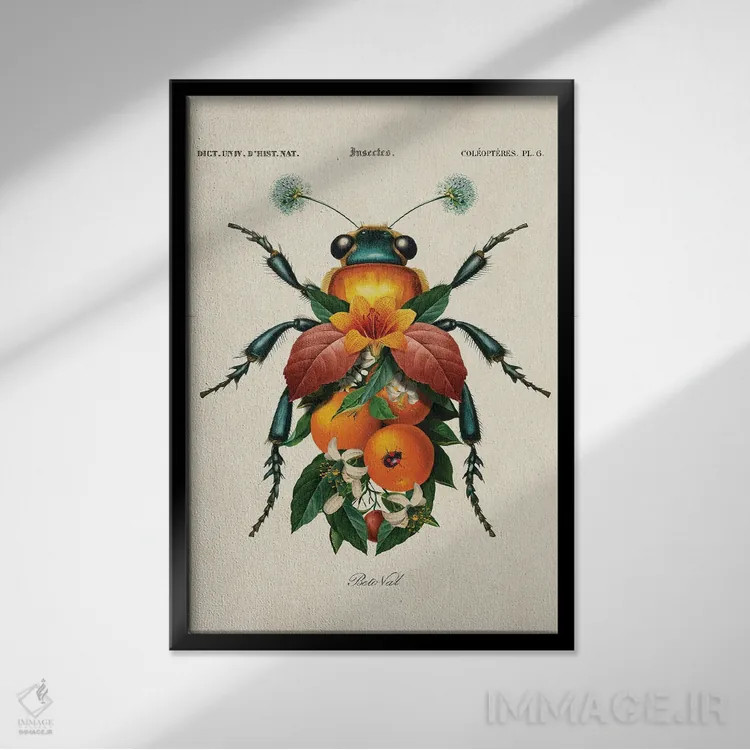 تابلو حشره پرتقالی اثر بتو وال - نمای قابدار مشکی