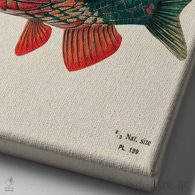 تابلو ماهی مار اثر بتو وال - نمای نزدیک بافت بوم