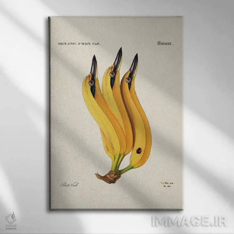 تابلو پرنده موزی اثر بتو وال - نمای روبهرو روی دیوار