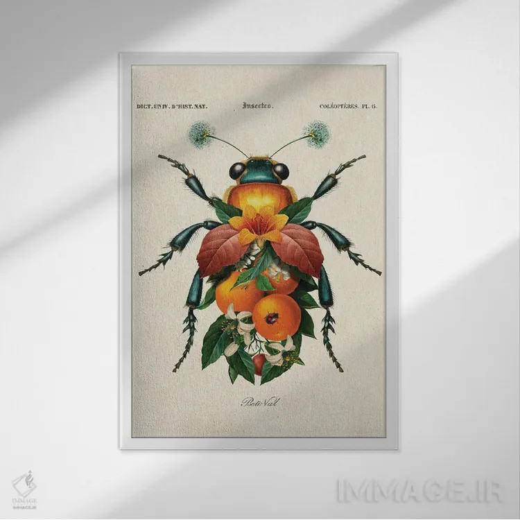 تابلو حشره پرتقالی اثر بتو وال - نمای قابدار سفید