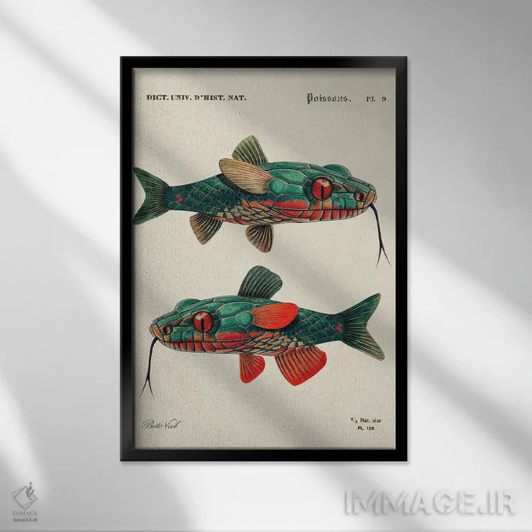 تابلو ماهی مار اثر بتو وال - نمای قابدار مشکی