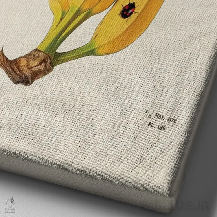 تابلو پرنده موزی اثر بتو وال - نمای نزدیک بافت بوم