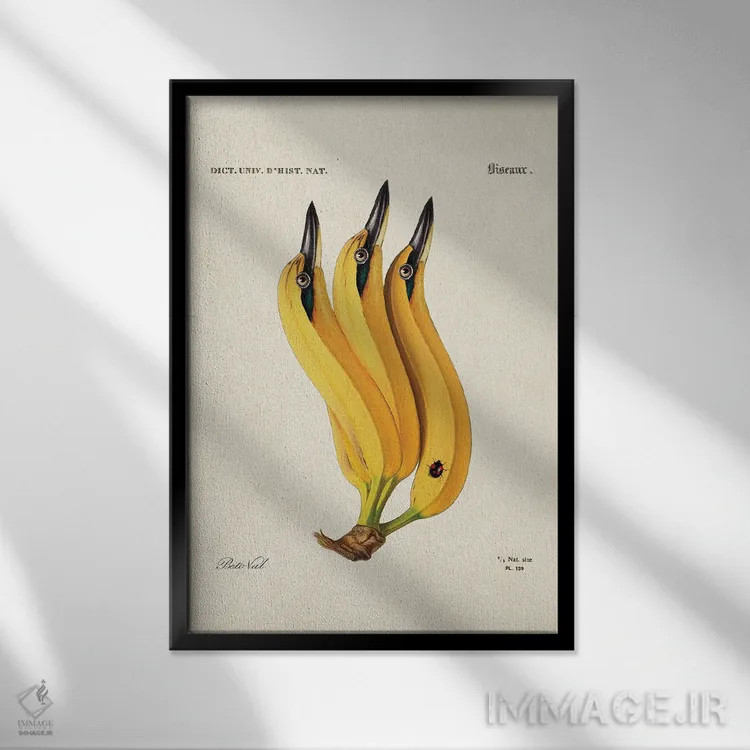 تابلو پرنده موزی اثر بتو وال - نمای قابدار مشکی