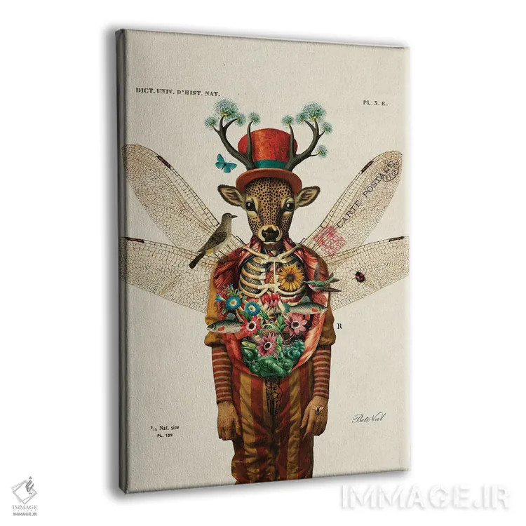 تابلو مرد سیرک اثر بتو وال - نمای پرسپکتیو محصول