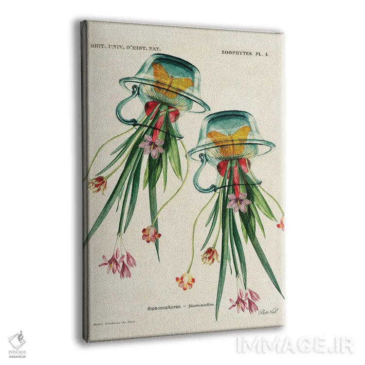 تابلو ژلیفلاور (گل ژلهای) اثر بتو وال - نمای پرسپکتیو محصول