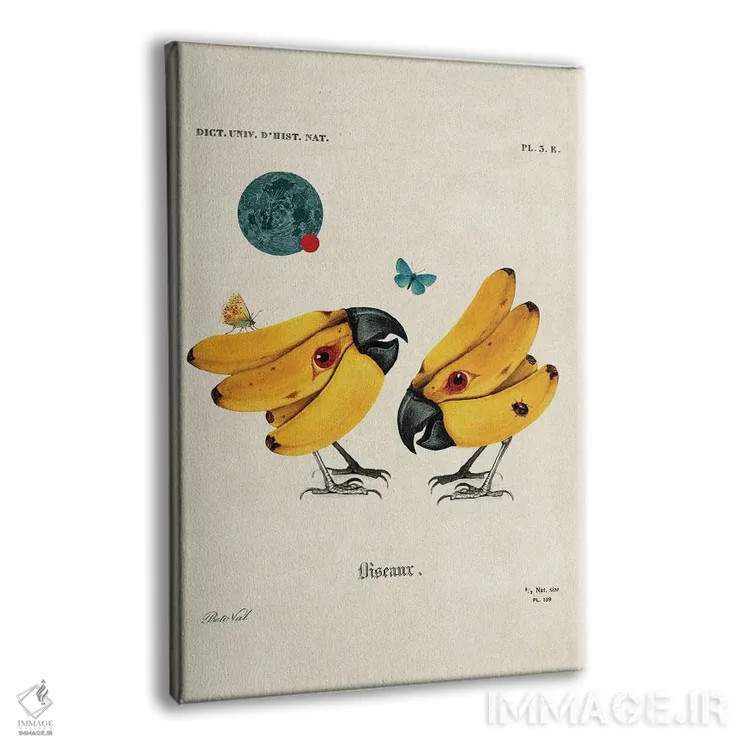 تابلو پرندگان موزی اثر بتو وال - نمای پرسپکتیو محصول