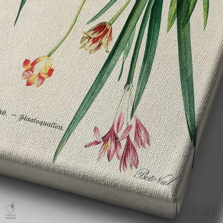 تابلو ژلیفلاور (گل ژلهای) اثر بتو وال - نمای نزدیک بافت بوم