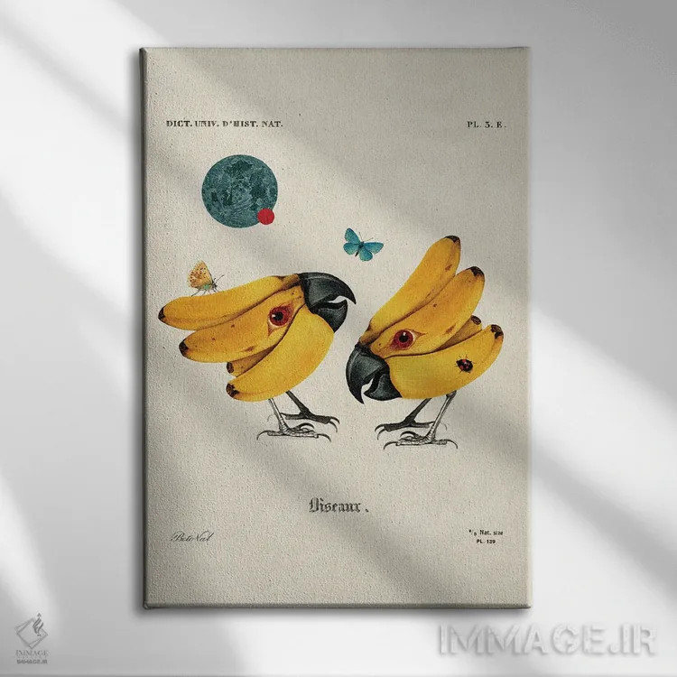 تابلو پرندگان موزی اثر بتو وال - نمای روبهرو روی دیوار