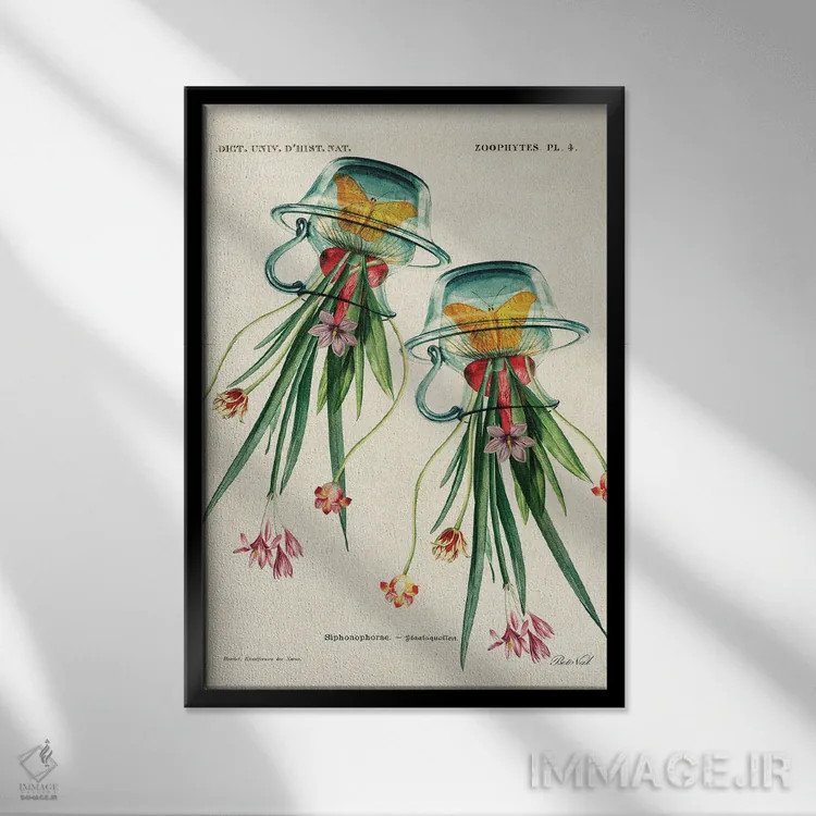 تابلو ژلیفلاور (گل ژلهای) اثر بتو وال - نمای قابدار مشکی