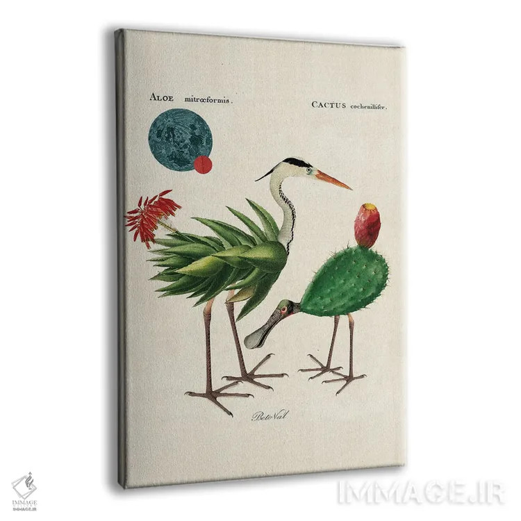 تابلو پرندگان آلوئهورا اثر بتو وال - نمای پرسپکتیو محصول