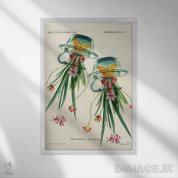 تابلو ژلیفلاور (گل ژلهای) اثر بتو وال - نمای قابدار سفید