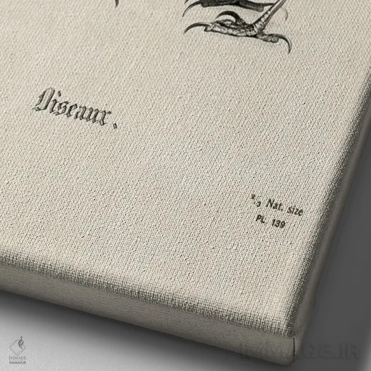 تابلو پرندگان موزی اثر بتو وال - نمای نزدیک بافت بوم