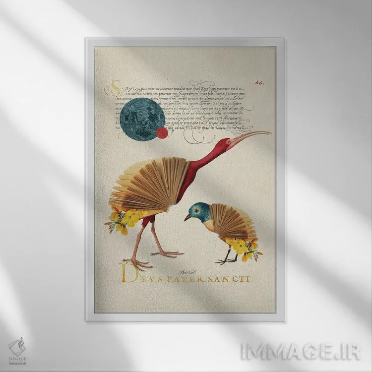 تابلو پرندگان کتابی اثر بتو وال - نمای قابدار سفید