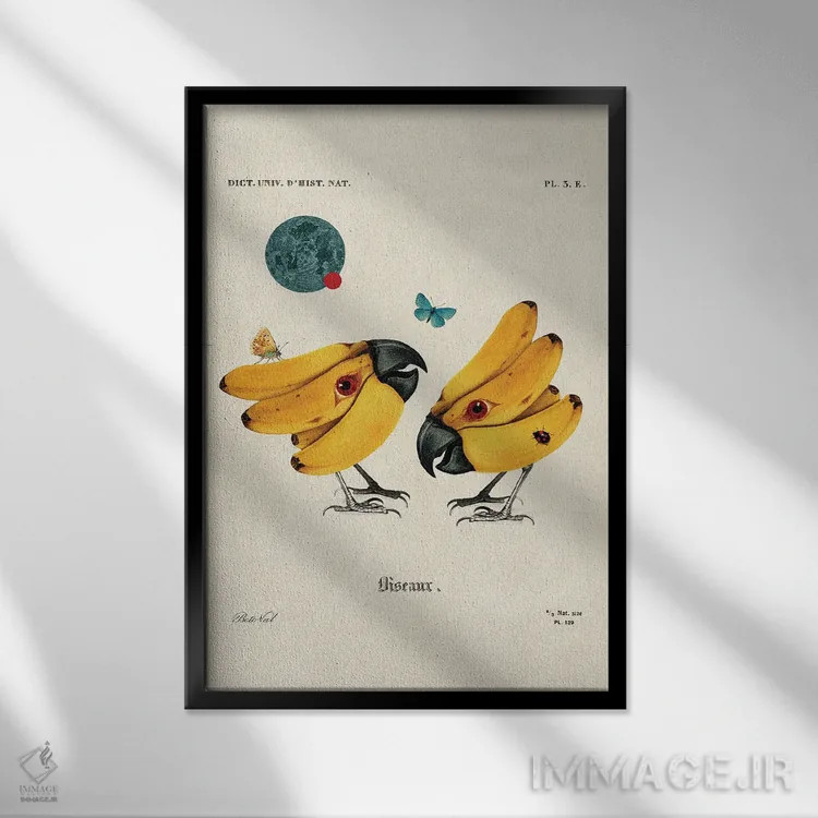 تابلو پرندگان موزی اثر بتو وال - نمای قابدار مشکی