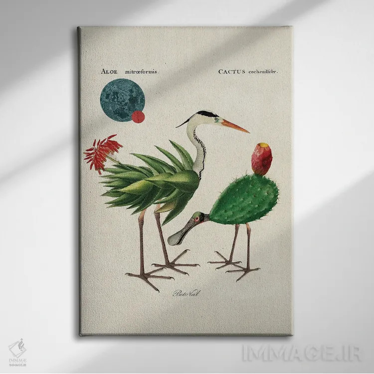 تابلو پرندگان آلوئهورا اثر بتو وال - نمای روبهرو روی دیوار