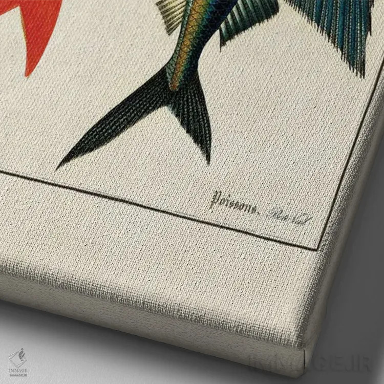 تابلو پرندگان ماهی اثر بتو وال - نمای نزدیک بافت بوم