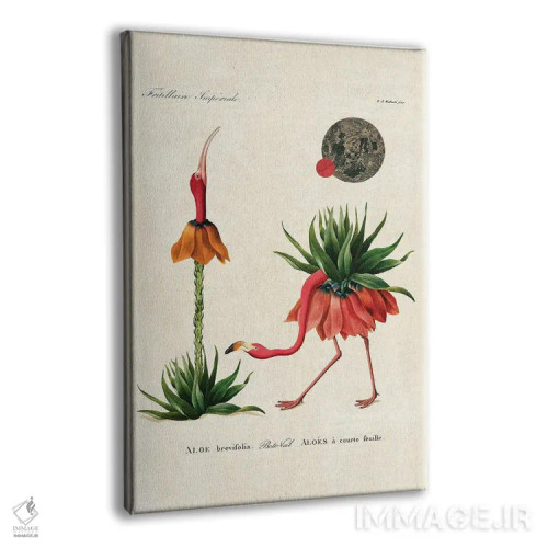 تابلو فلامینگو آلوئهورا اثر بتو وال - نمای پرسپکتیو محصول