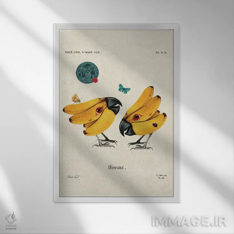 تابلو پرندگان موزی اثر بتو وال - نمای قابدار سفید