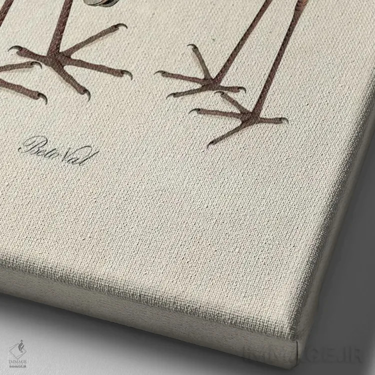 تابلو پرندگان آلوئهورا اثر بتو وال - نمای نزدیک بافت بوم