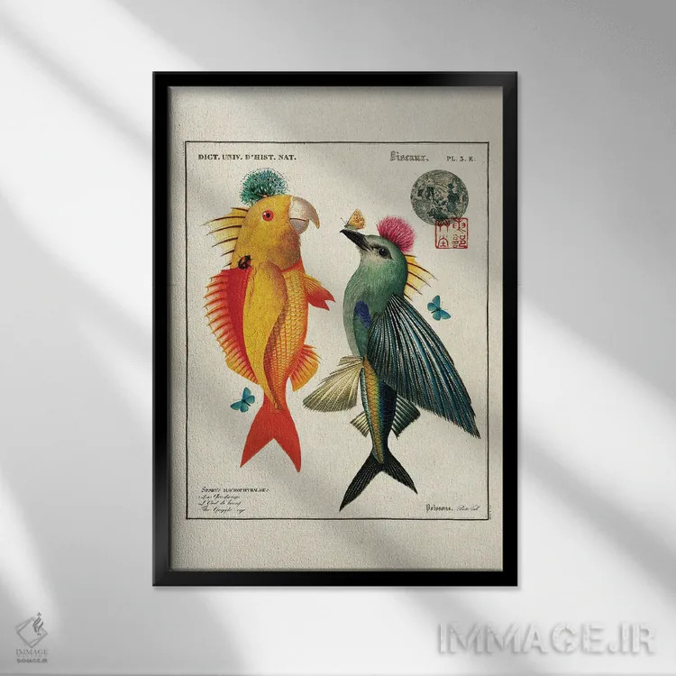 تابلو پرندگان ماهی اثر بتو وال - نمای قابدار مشکی