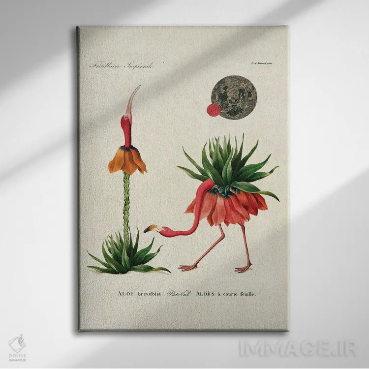 تابلو فلامینگو آلوئهورا اثر بتو وال - نمای روبهرو روی دیوار