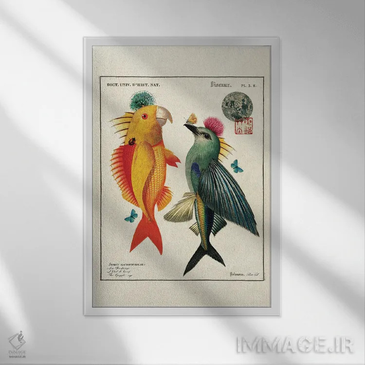 تابلو پرندگان ماهی اثر بتو وال - نمای قابدار سفید